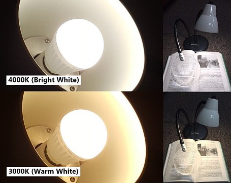 BigEye Lamp LED Bulb - 4000K (Cool White)
