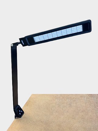 Bright Reach Clamp Lamp in Black