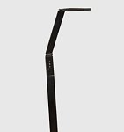 Bright Reach Floor Lamp in Black