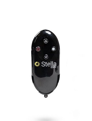 Stella LED Floor Lamp in Black Remote