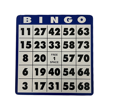 Low Vision Bingo Cards 