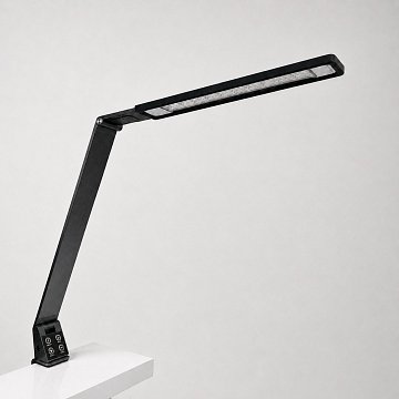 Bright Reach Clamp Lamp in Black