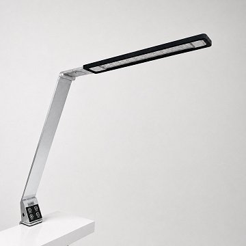 Bright Reach Clamp Lamp in Silver