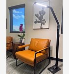 Bright Reach Floor Lamp in Black