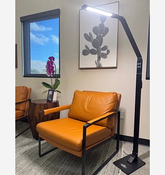 Bright Reach Floor Lamp in Black